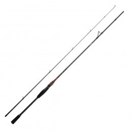 Canna Daiwa 23 Ninja Egi
