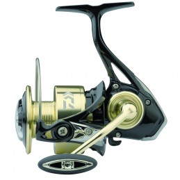 Mulinello Daiwa 25 GT G