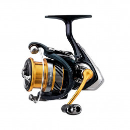 Daiwa 19 Revros Lt