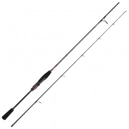 Canna Daiwa 19 Ninja Spinning