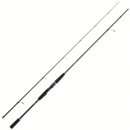 Canna Daiwa 20 Legalis Squid