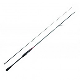 Canna Daiwa 20 Ninja Egi