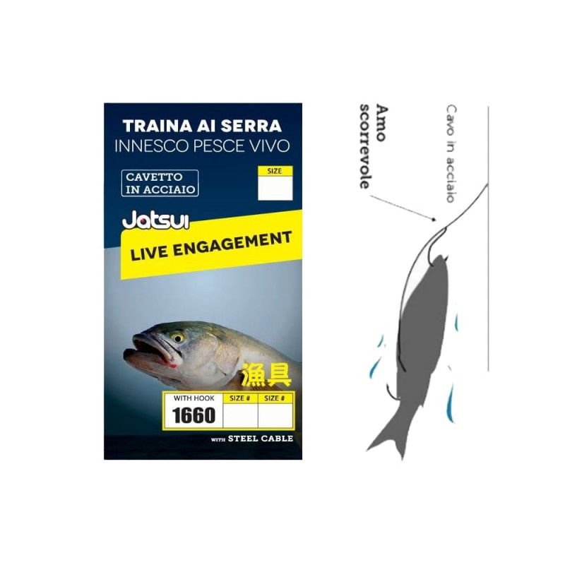 Terminale Jatsui Traina ai Serra Innesco Pesce Vivo
