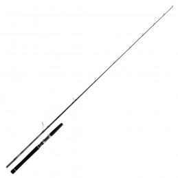 Canna Daiwa Saltist Inshore...