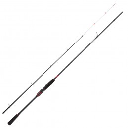 Canna Daiwa 21 NT Ninja