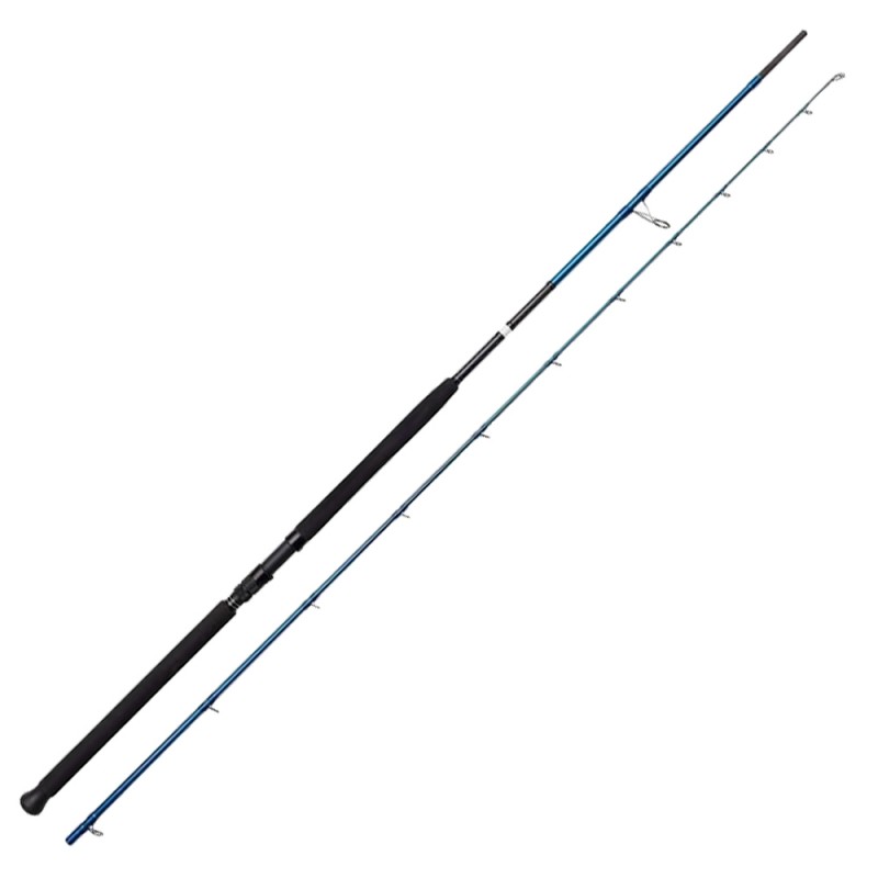 Canna Savage Gear SGS2 Shore Jigging MH 30-100gr