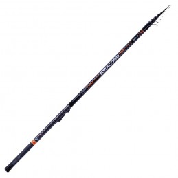 Canna Sele Amacord Bolo 6mt