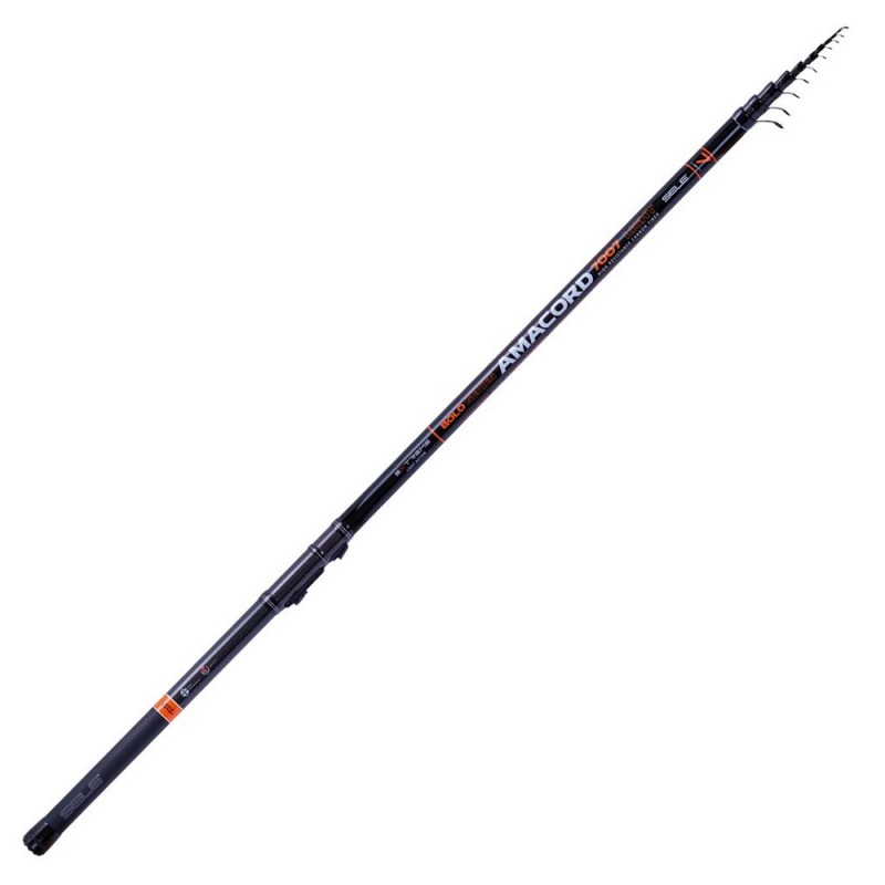 Canna Sele Amacord Bolo 6mt
