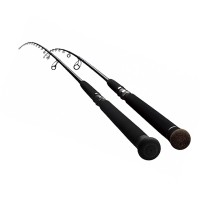 Canna da Pesca: Spinning Eging Surfcasting Bolognese  🛒Bazar Pesca